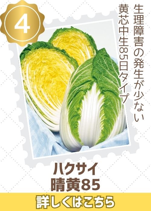 晴黄