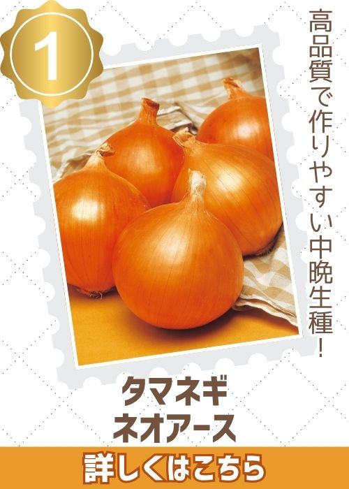 ネオアース