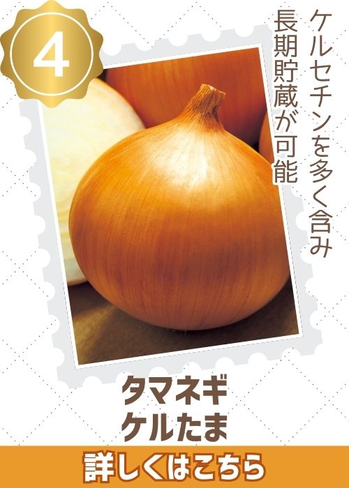 ケルたま