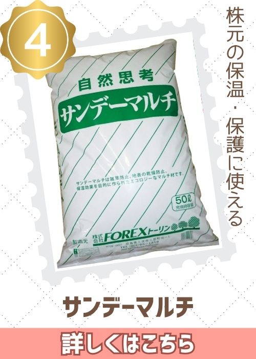 ＦＯＲＥＸサンデーマルチ　５０Ｌ×２袋　　