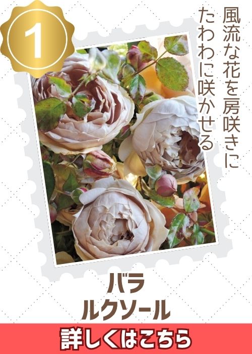 ルクソール