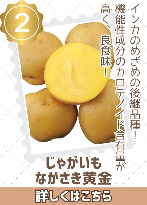 じゃがいも　ながさき黄金