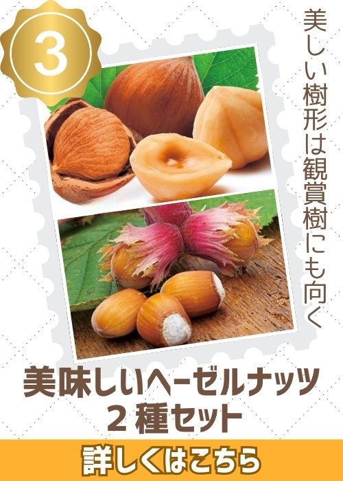 美味しいヘーゼルナッツ２種セット　ト