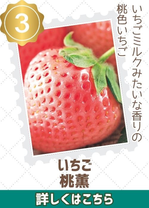 イチゴ・桃薫