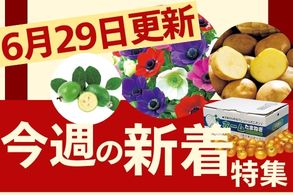 新着特集