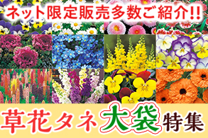 草花