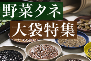野菜