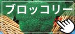 ブロッコリー