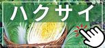 ハクサイ