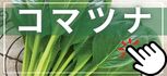 コマツナ