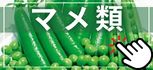 マメ類