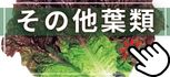 その他葉菜