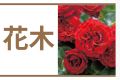 花木