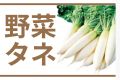 野菜タネ