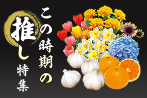特集一覧
