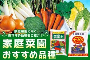 家庭菜園おすすめ品種