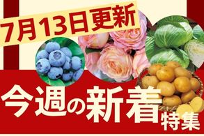 新着特集