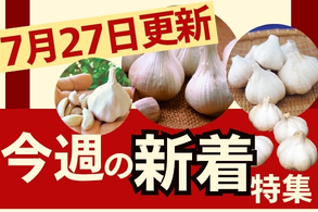 新着特集