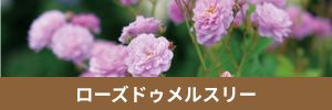 ローズドゥメルスリー
