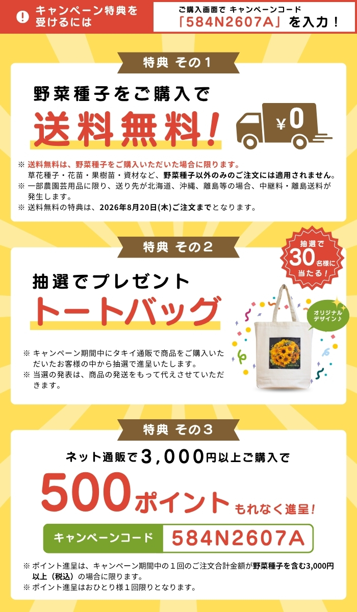 野菜種子キャンペーン