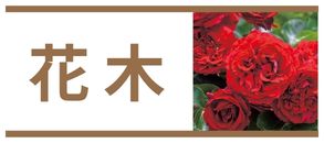花木