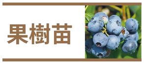 果樹苗