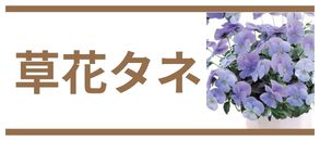 草花タネ