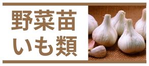 野菜苗
