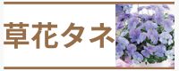 草花タネ