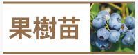 果樹苗