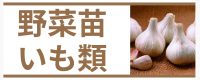 野菜苗