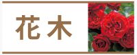 花木