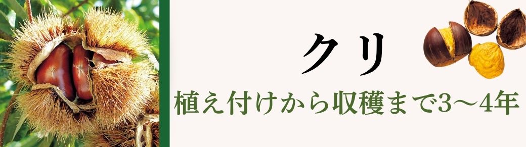 クリ
