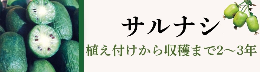 サルナシ