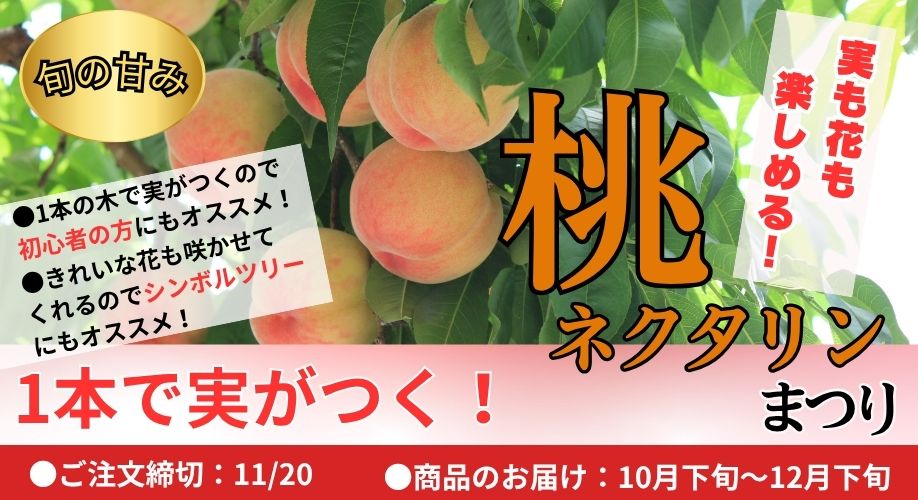 モモ・ネクタリンまつり