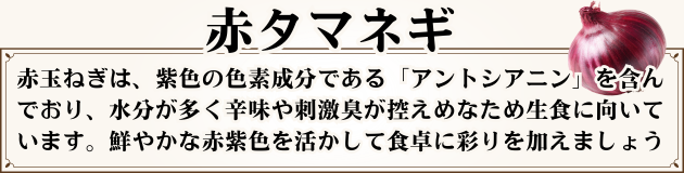 赤タマネギ