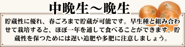 中晩生～晩生