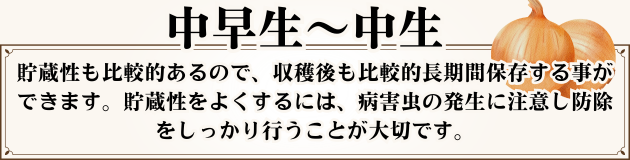 中早生～中生