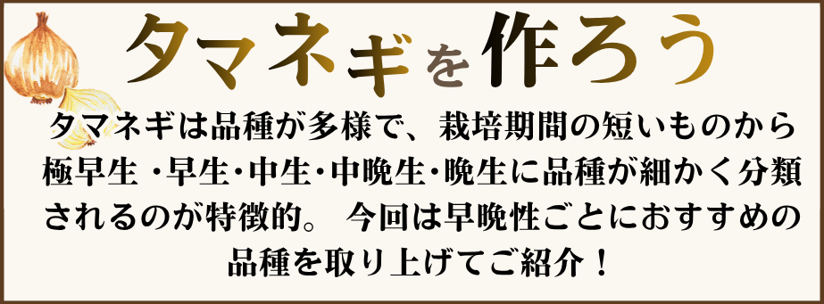 タマネギを作ろう