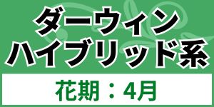 ダーウィンハイブリッド