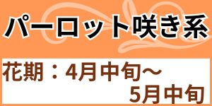 パーロット咲き