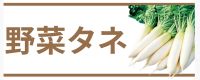 野菜タネ