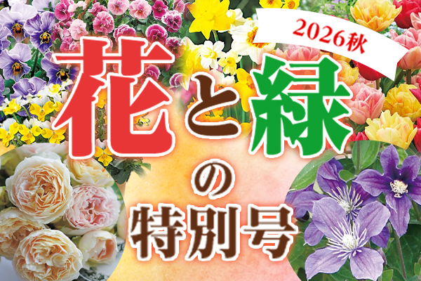 花と緑