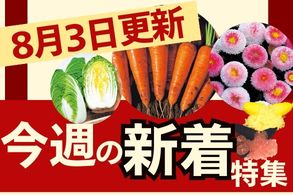 新着特集