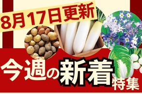 新着特集
