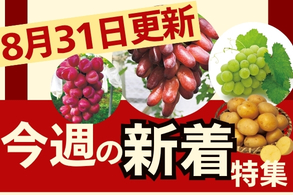 新着特集