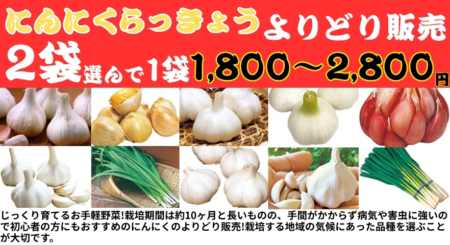ニンニクよりどり