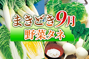 野菜まきどき