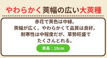 仏国大莢