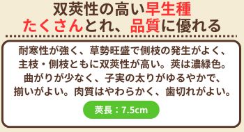 成駒三十日